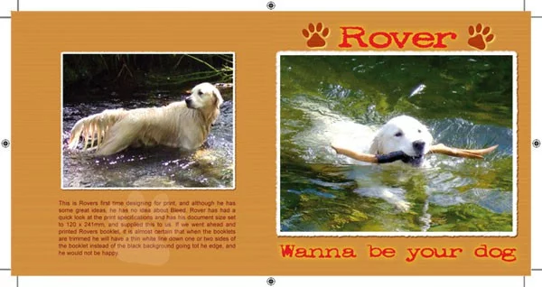 CD Printing with correct bleed added