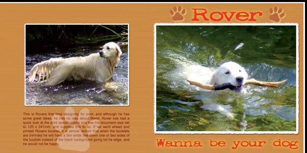 CD Printing without Bleed