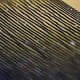CD manufacturing