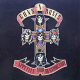 Appetite For Destruction album cover