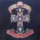 Appetite For Destruction album cover